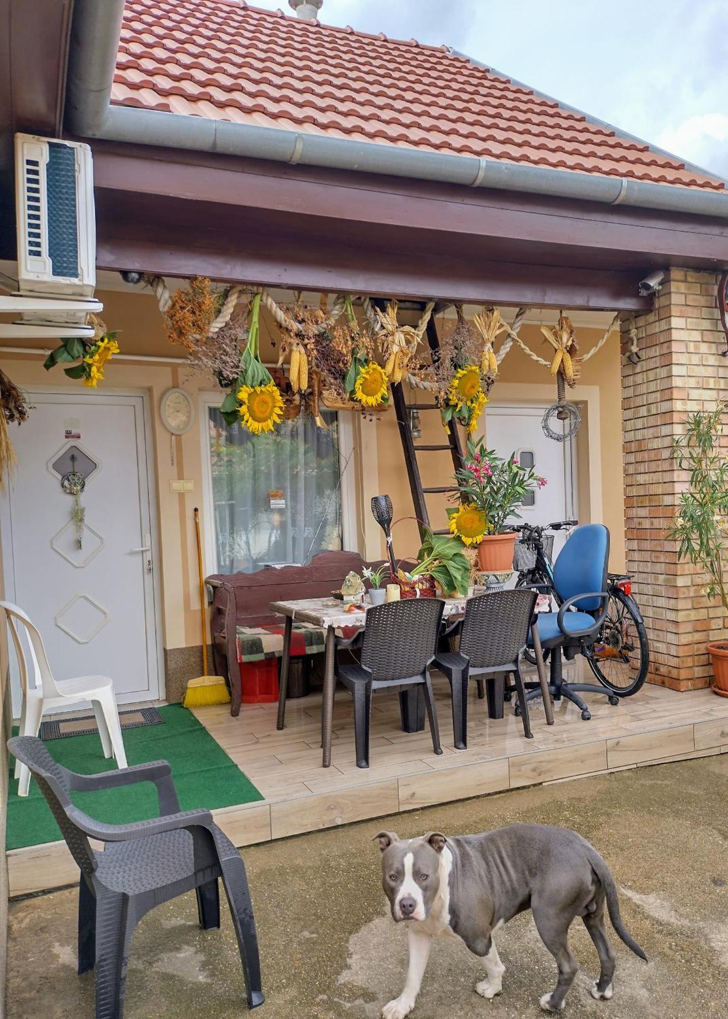 Bundik Vendeghaz Apartment Berettyóújfalu Екстериор снимка