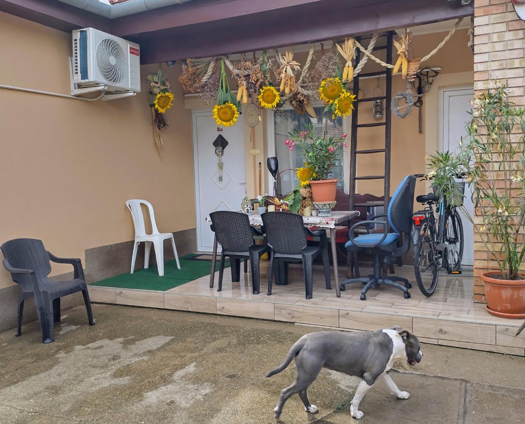 Bundik Vendeghaz Apartment Berettyóújfalu Екстериор снимка